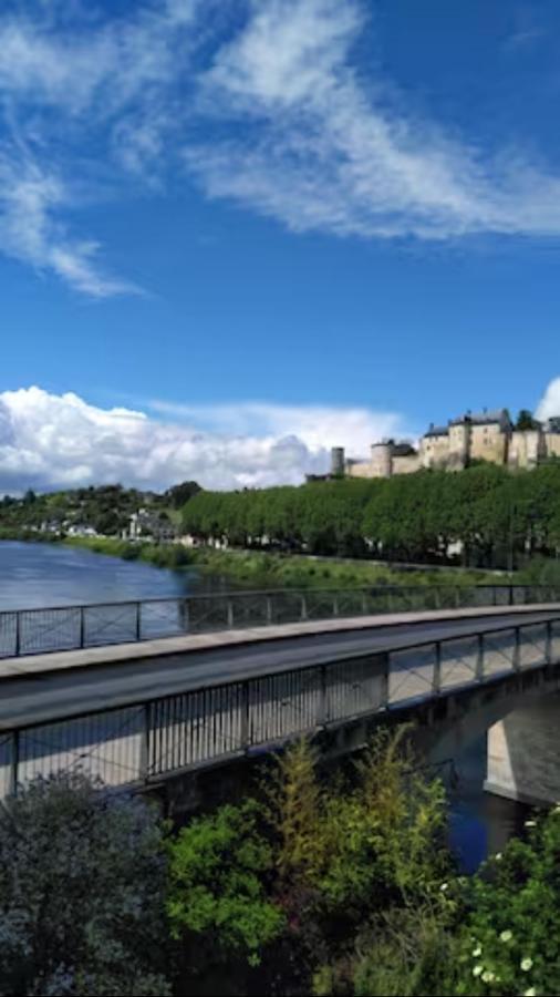 Apartament Le Nid De L'Ile Chinon Zewnętrze zdjęcie